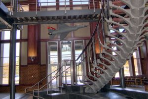 Projects_Composite Operations and Training Facility6